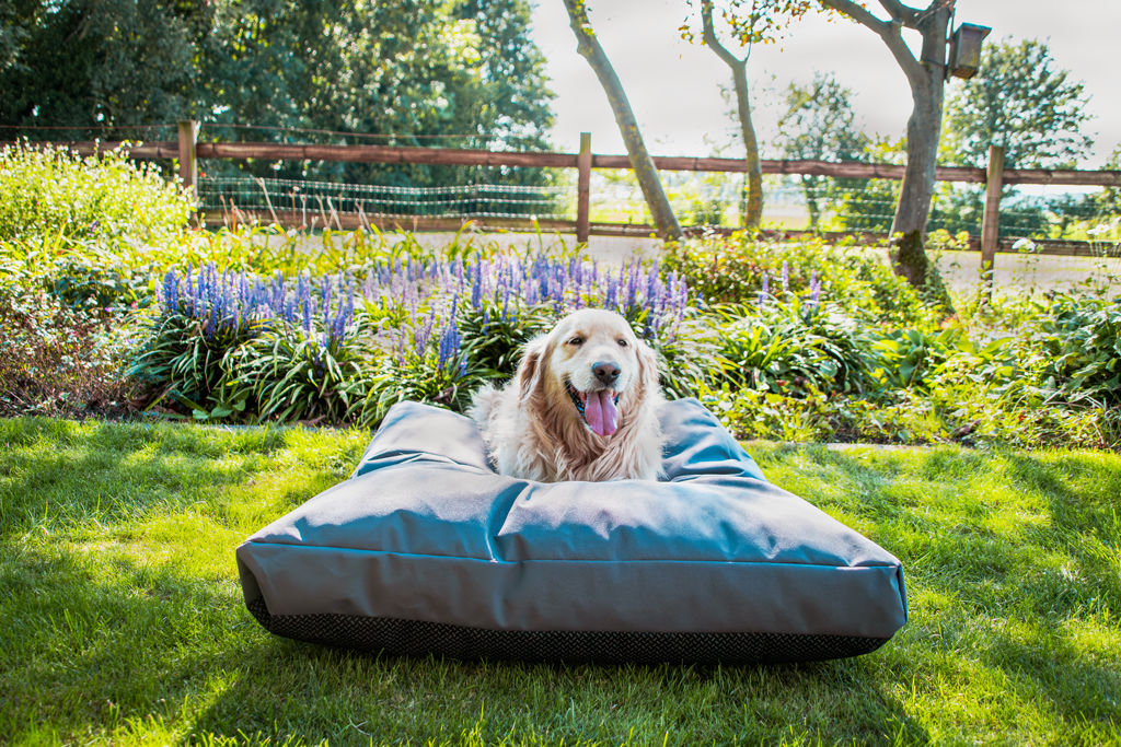 Let's Sleep Cushy Cloud Outdoor Dog Bed M Anthracite