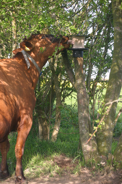 vPlast Salt Lick Holder Pole