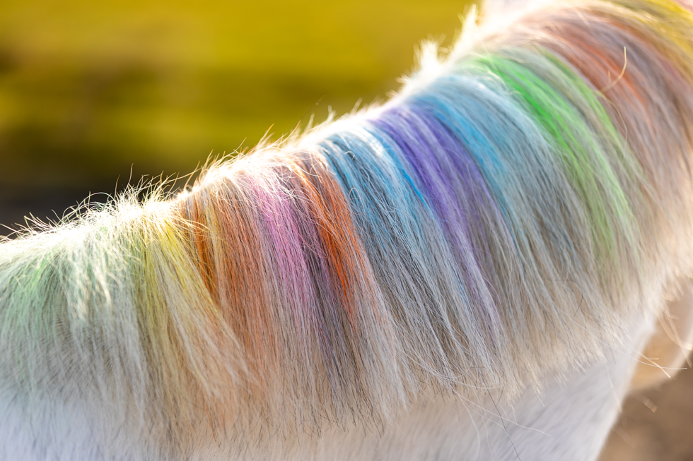 Lucky Horse Unicorn Rainbow Coloured Chalk