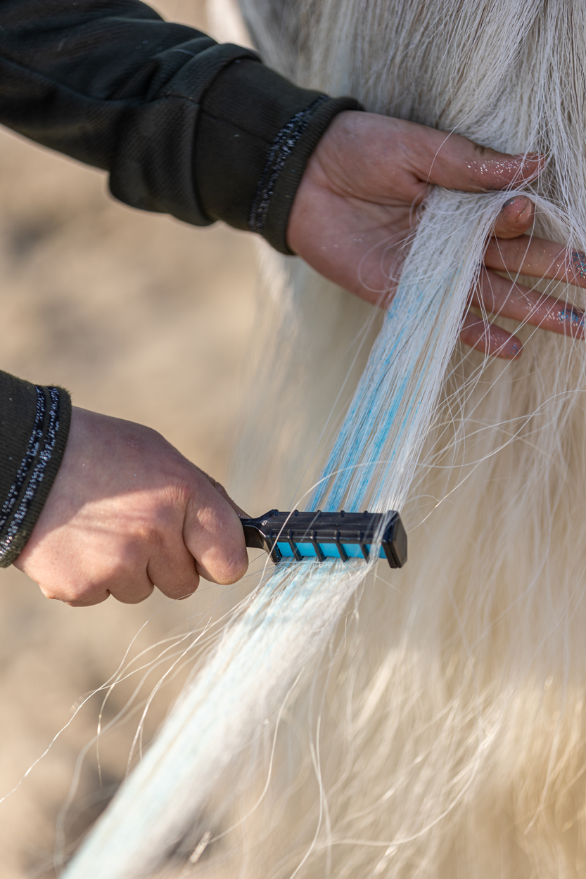 Lucky Horse Unicorn Rainbow Coloured Chalk
