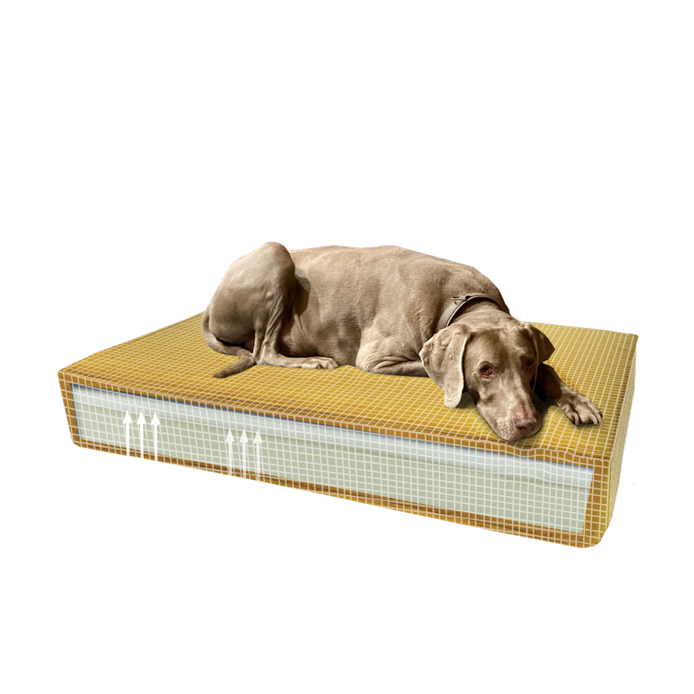Madison Orthopedic Cushion Velvet Yellow S