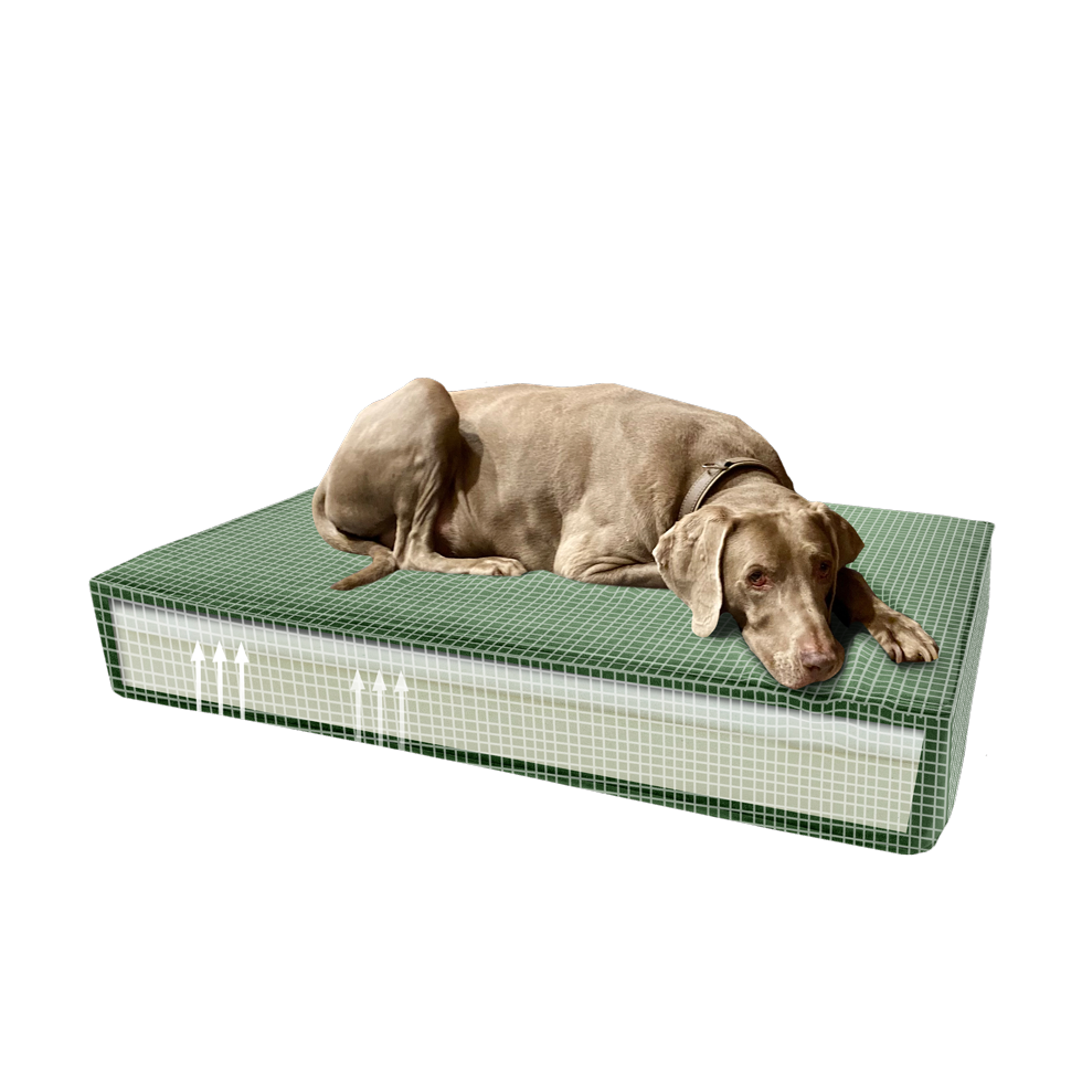 Madison Orthopedic Cushion Velvet Green S