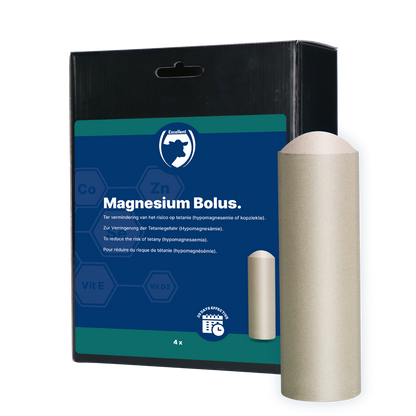 Excellent Magnesium Bolus 4 x 180 g