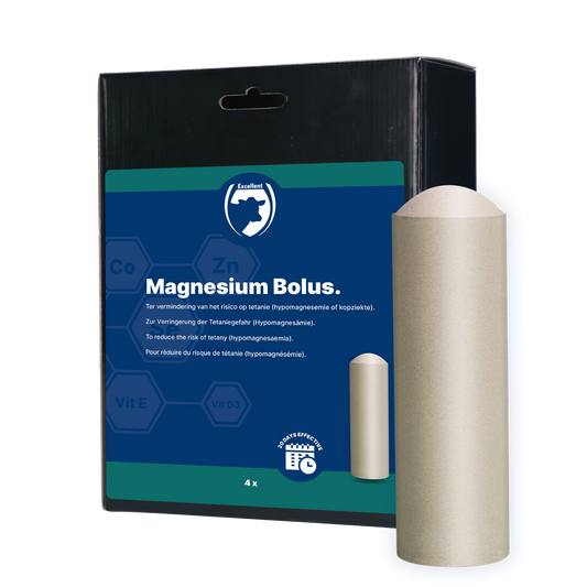 Kiváló Magnézium Bolus 4 x 180 g