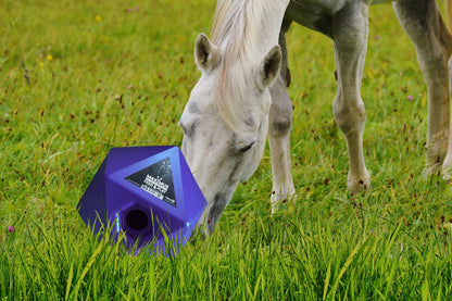 Maximus Feed & Play Blue
