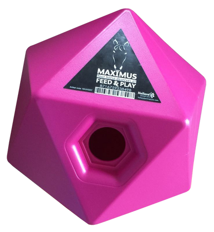 Maximus Feed & Play Pink