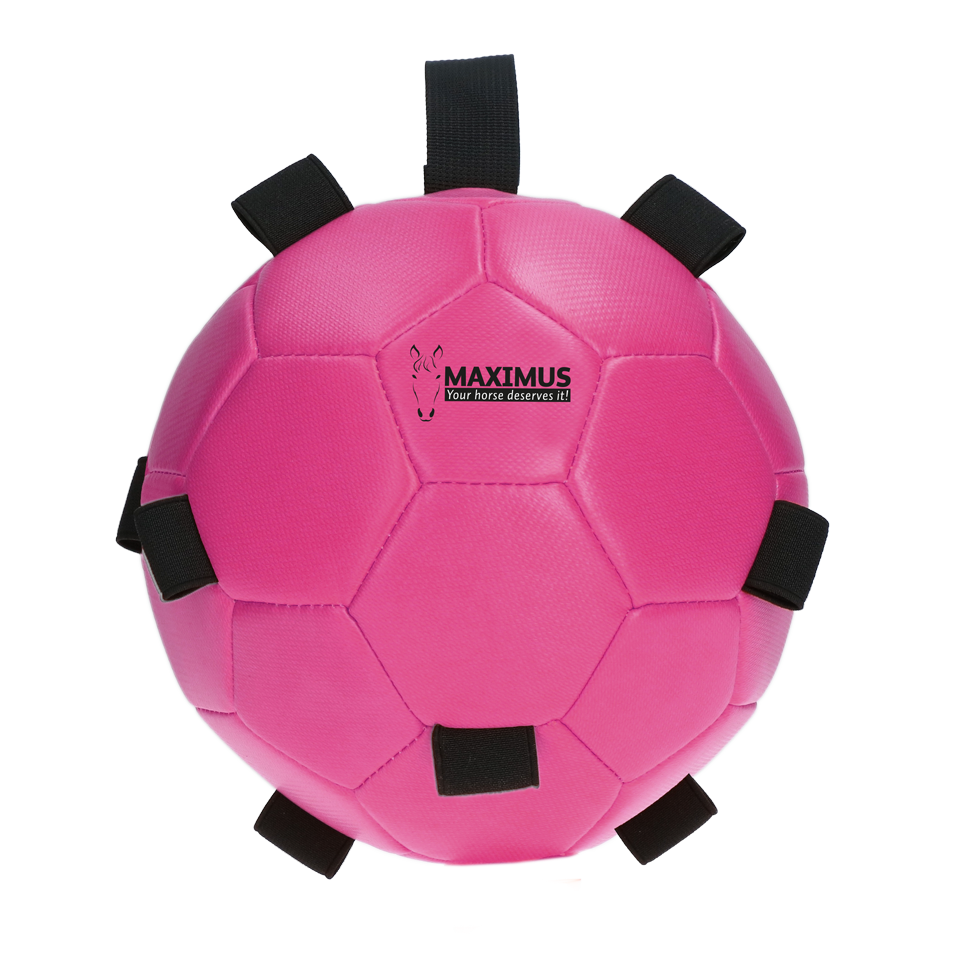 Excellent Horse Fun Play Ball Pink