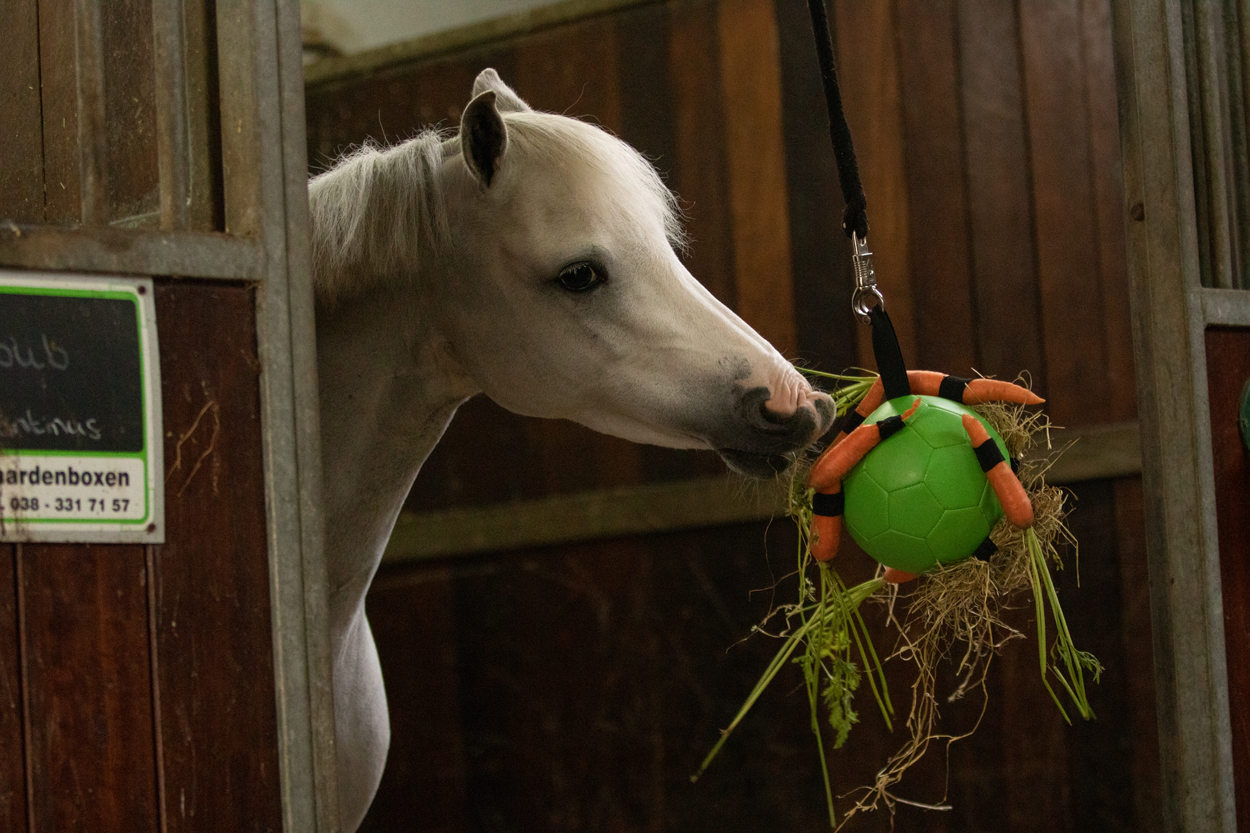Excellent Horse Fun Play Ball Pink