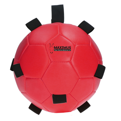 Excellent Horse Fun Play Ball Red