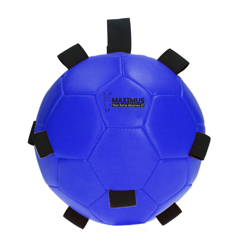 Excellent Horse Fun Play Ball Blue