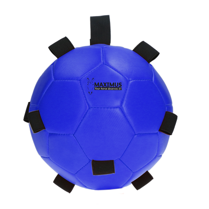 Excellent Horse Fun Play Ball Blue