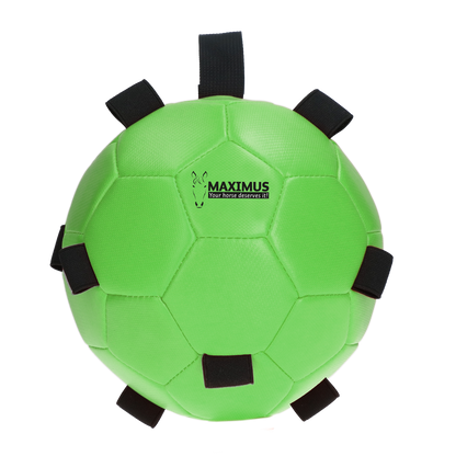 Excellent Horse Fun Play Ball Green
