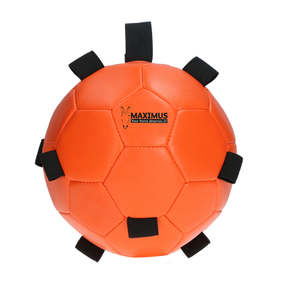 Excellent Horse Fun Play Ball Orange