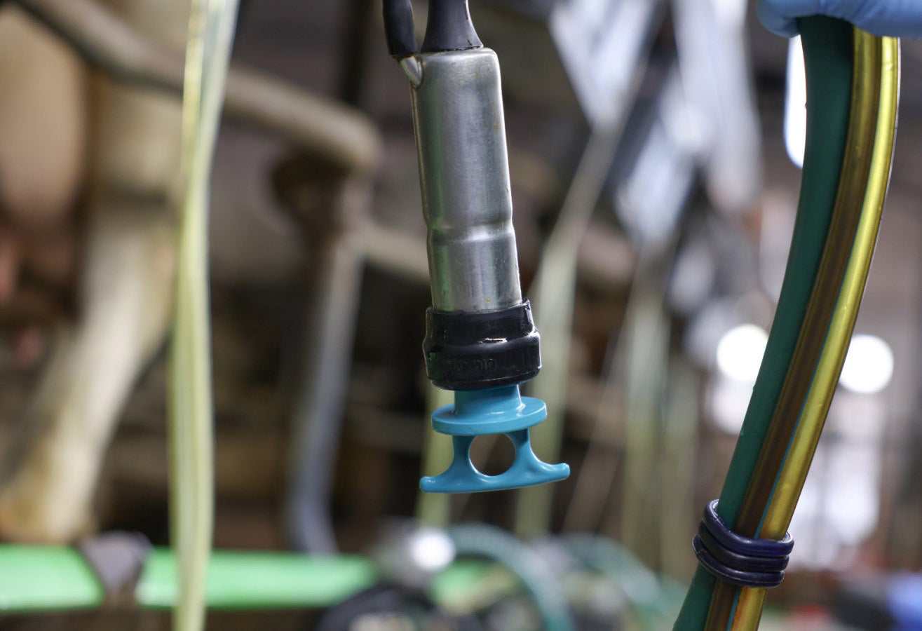 Milking Blind Plug Conical