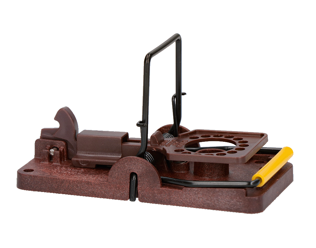 Gorilla Mouse Trap