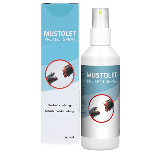 Musztolet Permet