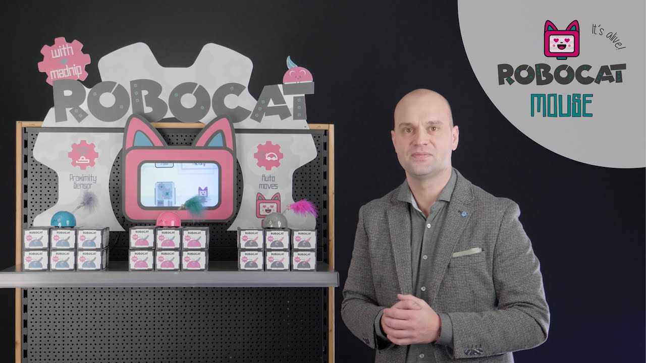 Package Deal Robocat Mouse
