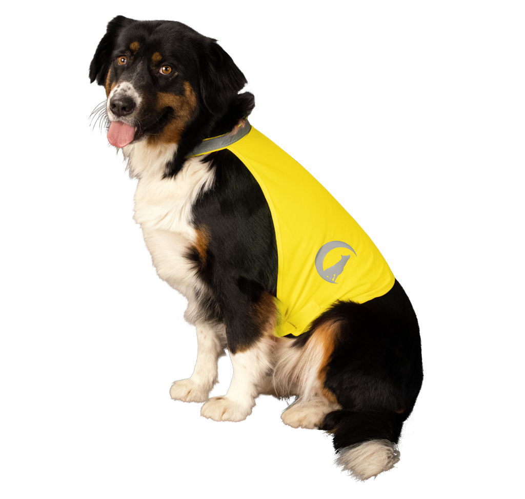 Nightwalk Safety Vest Yellow M
