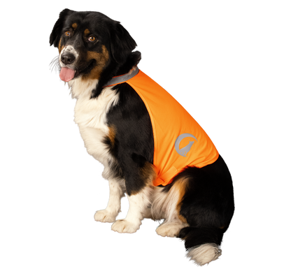 Nightwalk Safety Vest Orange S