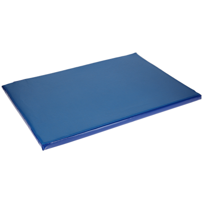 Disinfection mat 85x60x3.5 cm