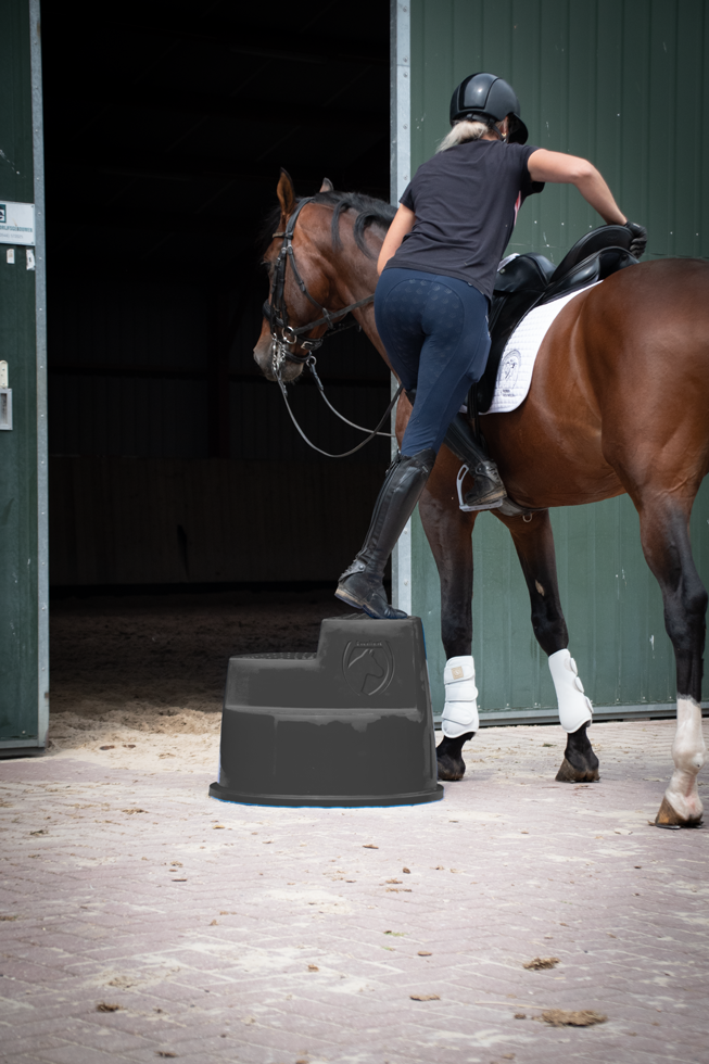 Excellent Horse Mounting Block 3 Steps Black