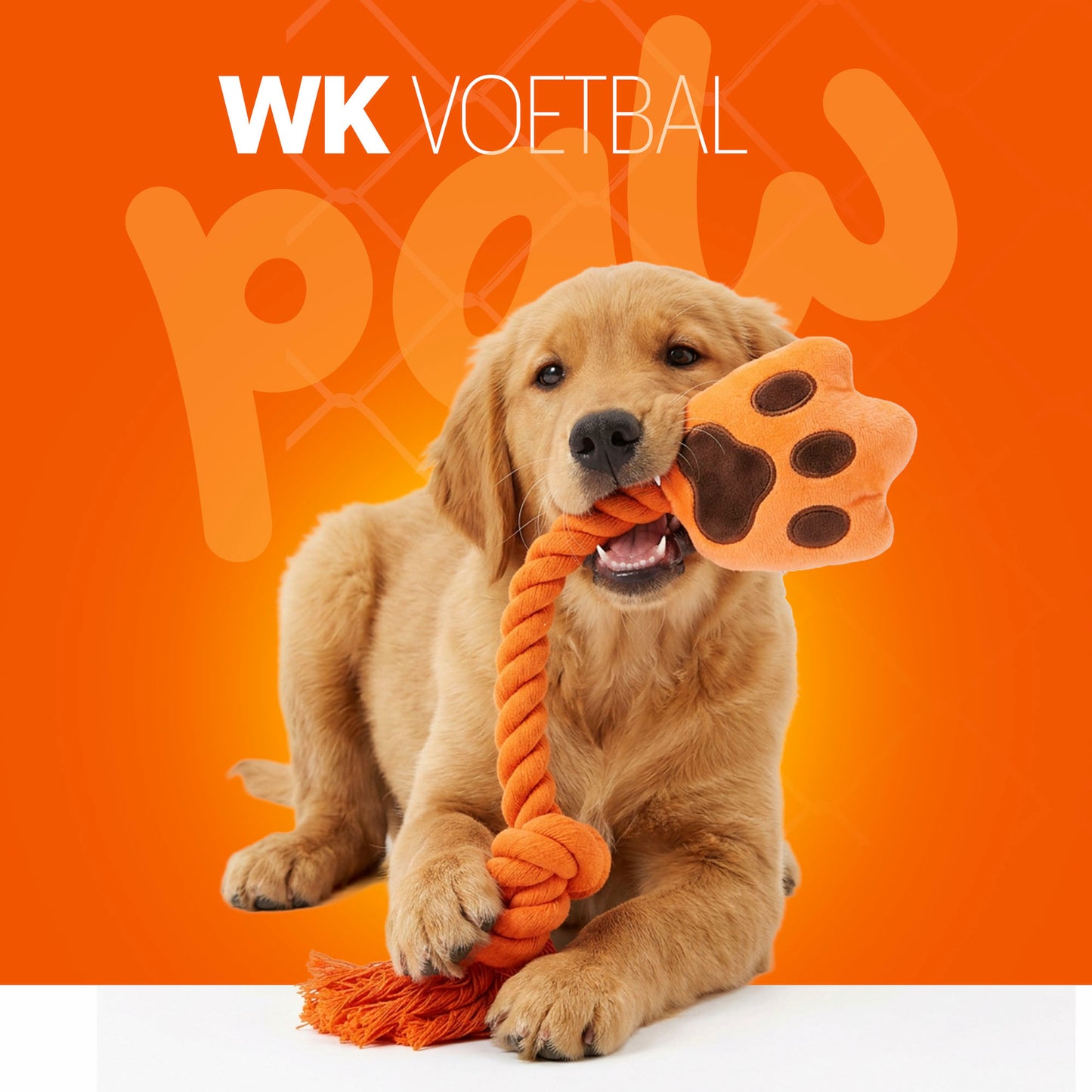Oranje WK High Five