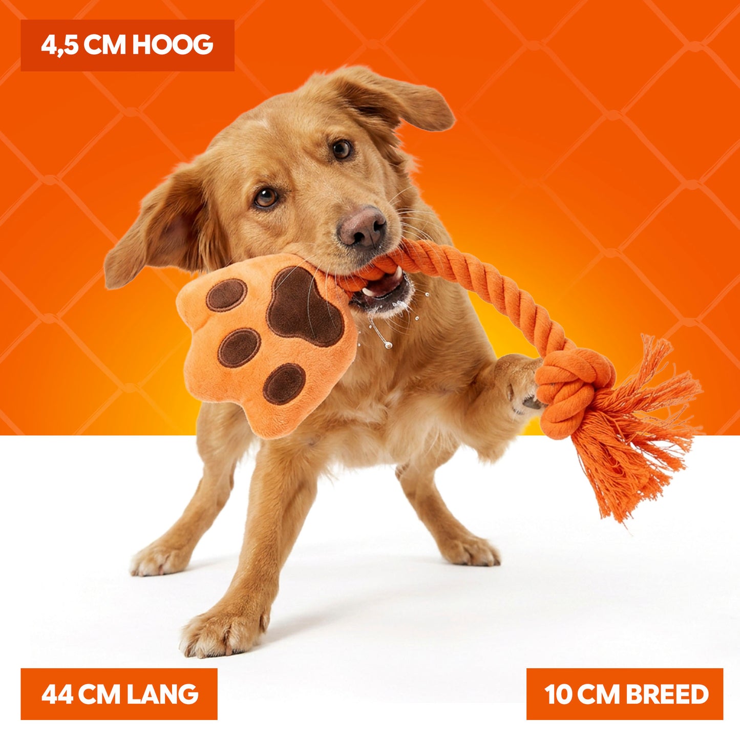 Oranje WK High Five