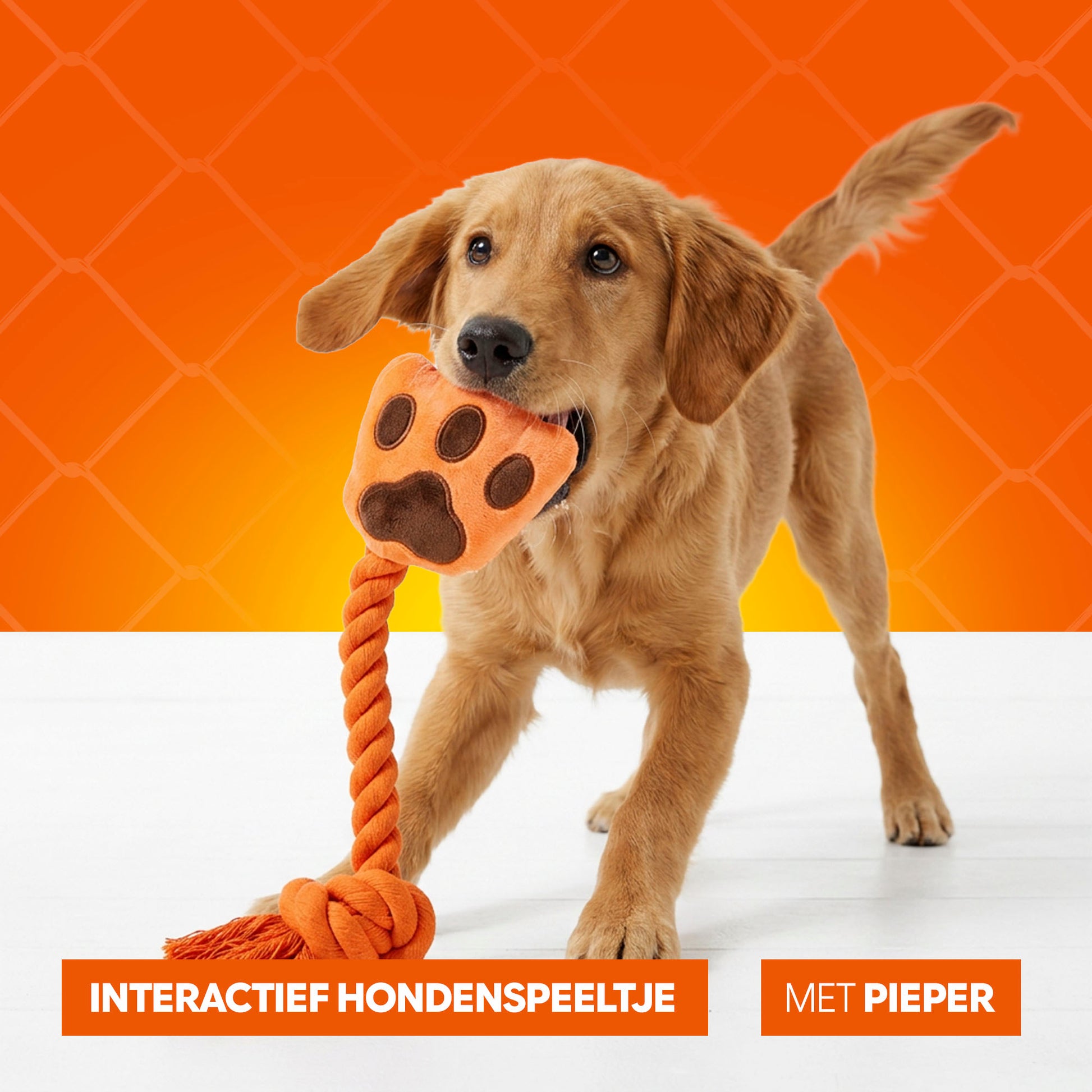 Oranje WK High Five