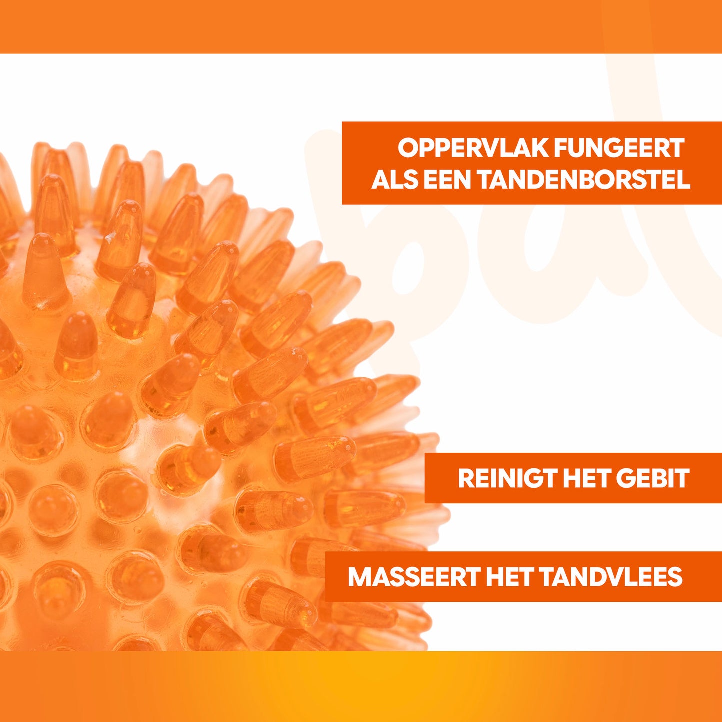 Oranje WK Egelbal M
