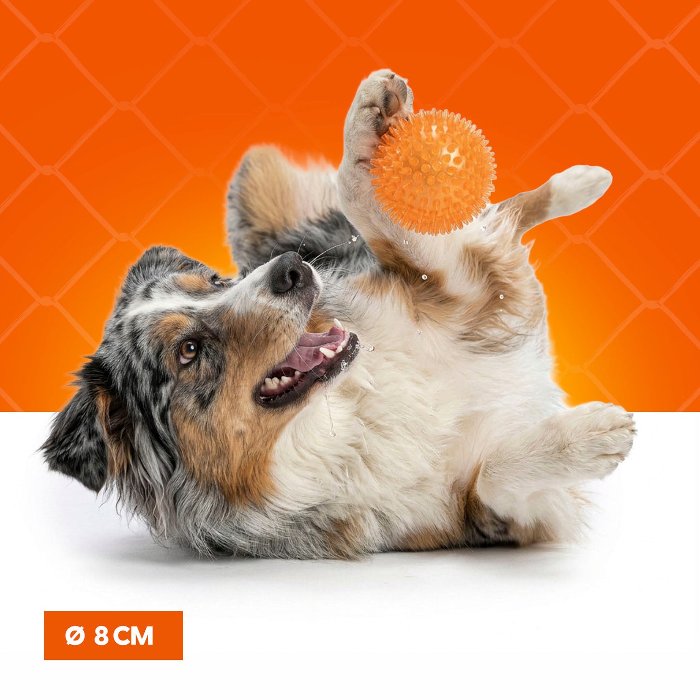 Oranje WK Egelbal M