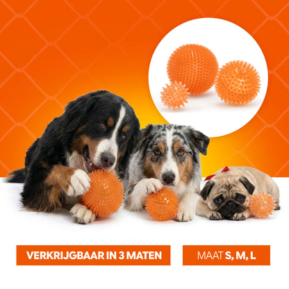 Oranje WK Egelbal M
