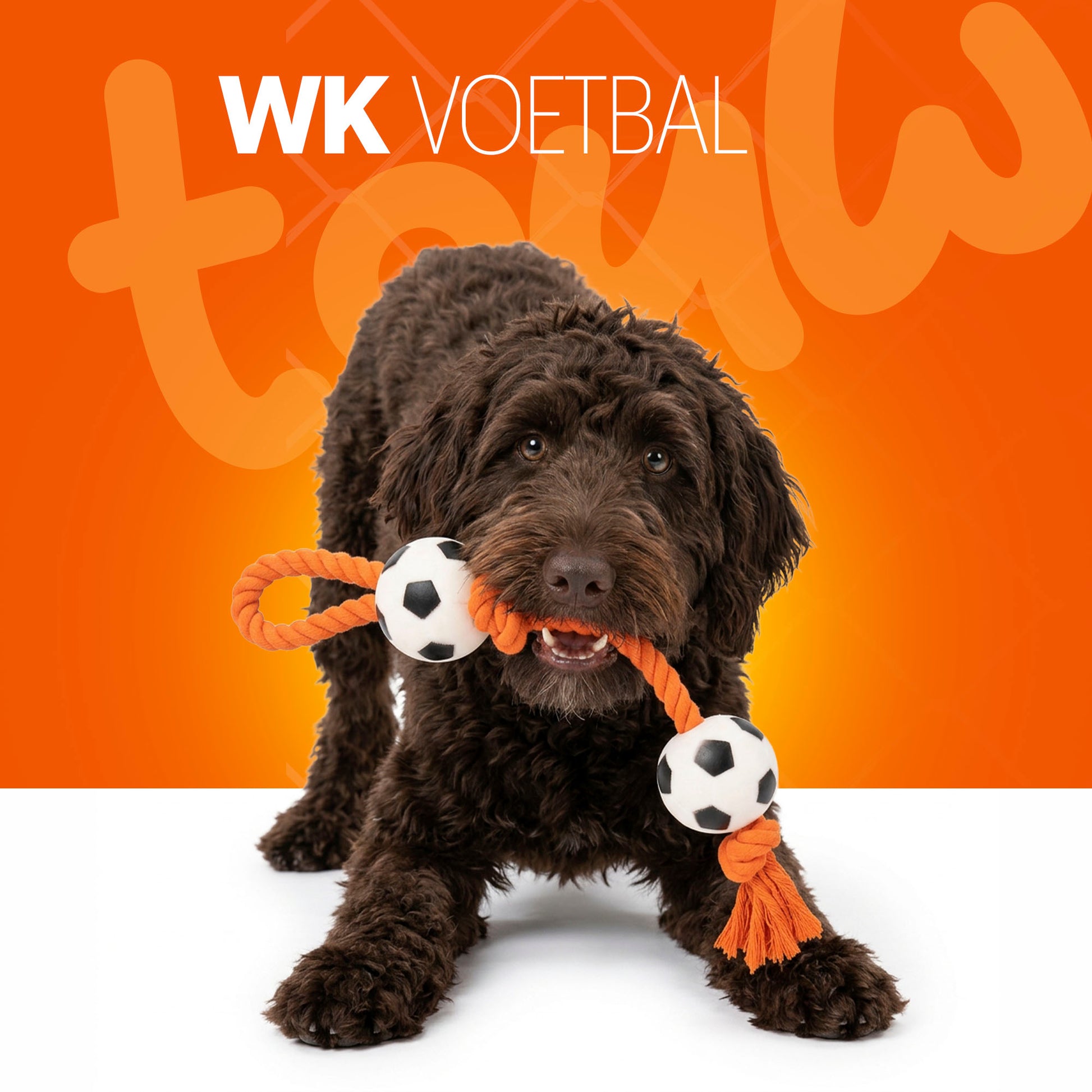 Oranje WK Flosstouw Voetballen