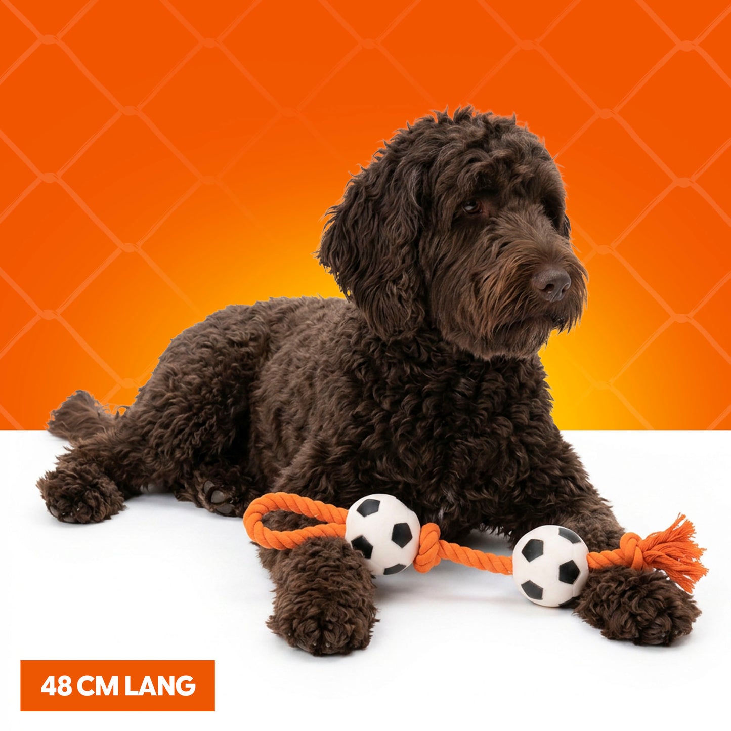 Oranje WK Flosstouw Voetballen