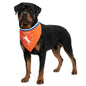 Oranje Bandana Hup Holland L