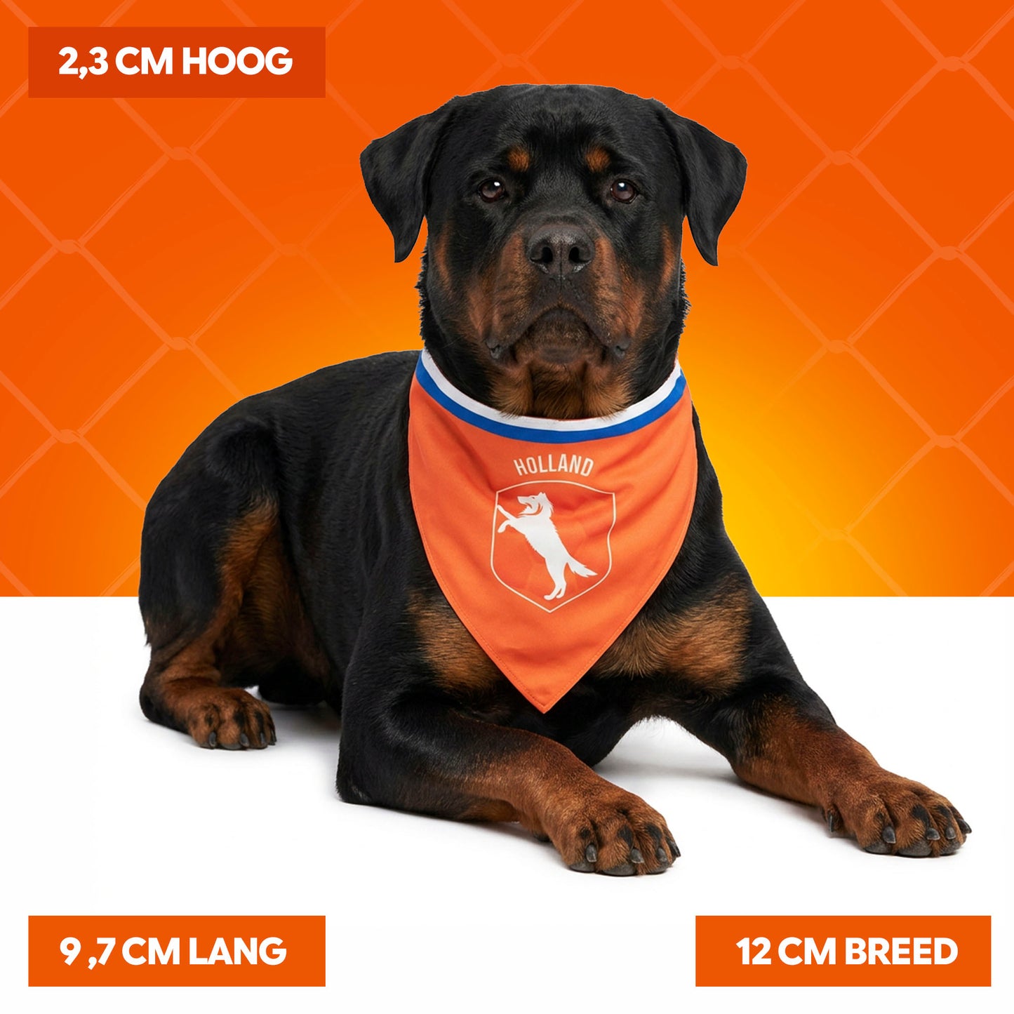 Oranje Bandana Hup Holland L