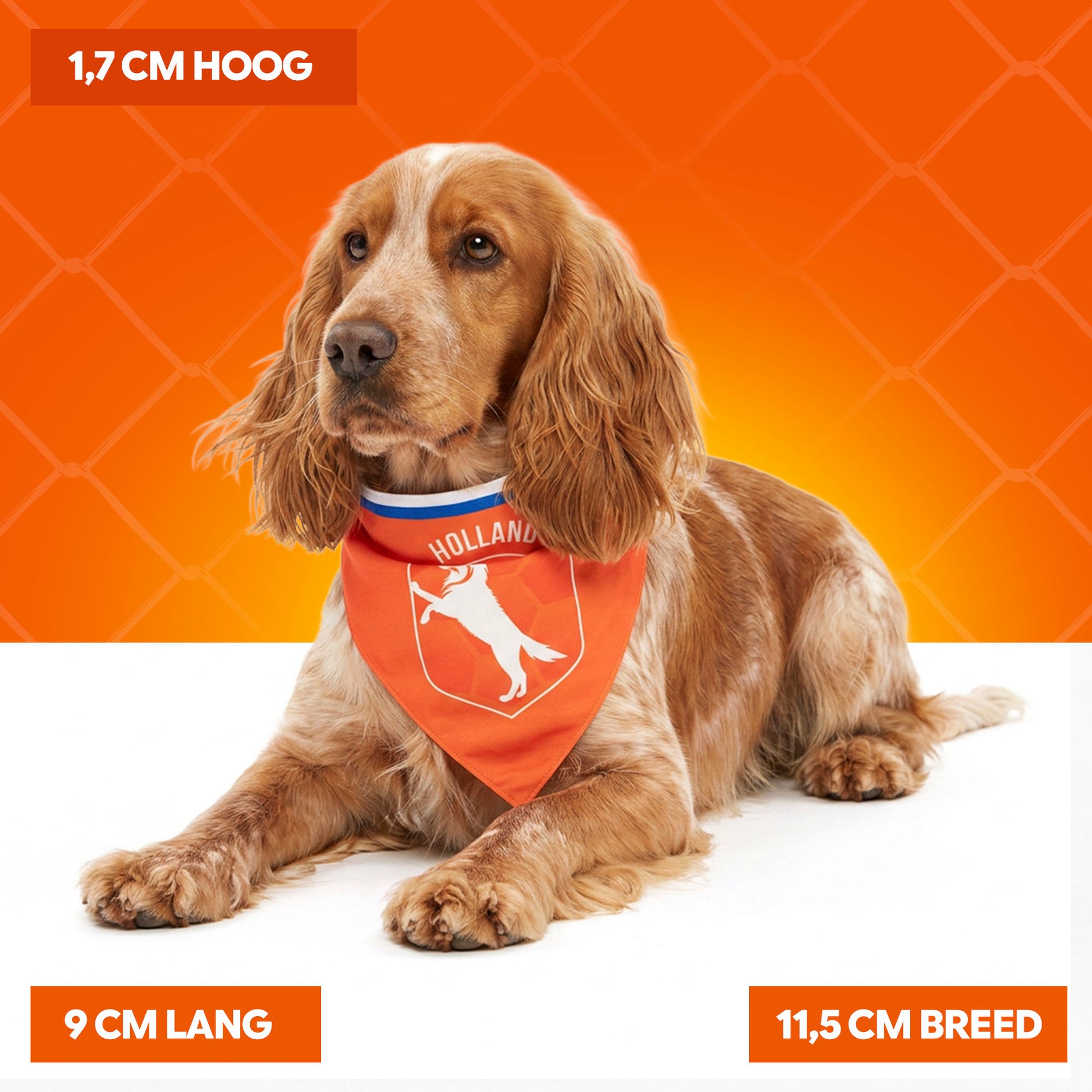 Oranje Bandana Hup Holland M