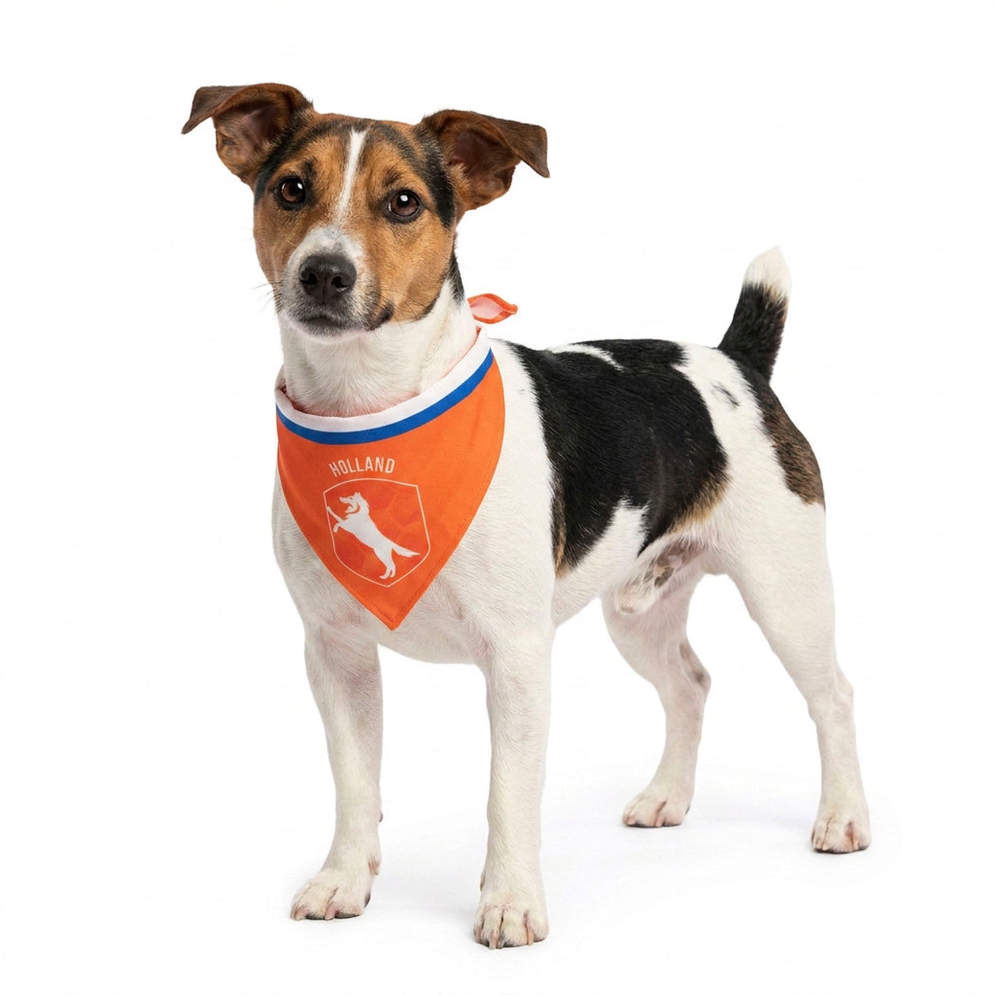Oranje Bandana Hup Holland S