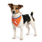 Oranje Bandana Hup Holland S