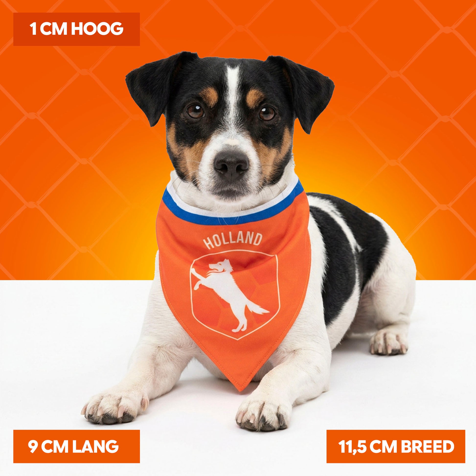 Oranje Bandana Hup Holland S