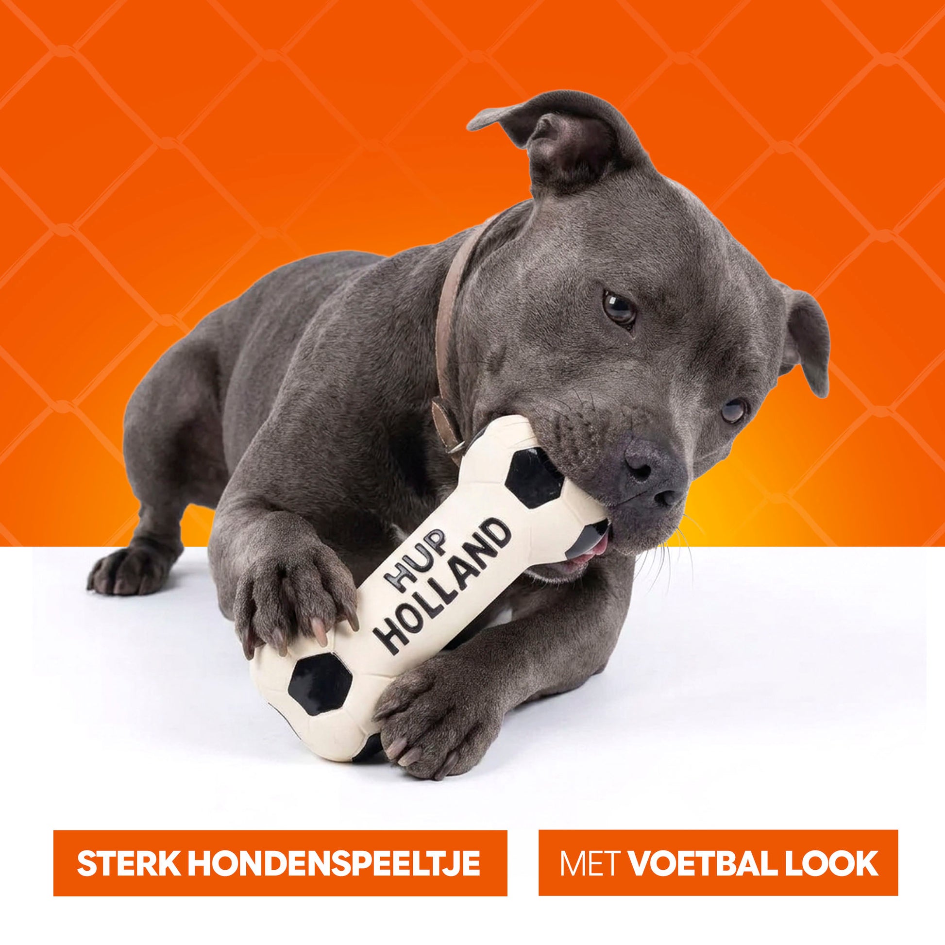 Oranje WK Latex Hondenspeeltjes Bot