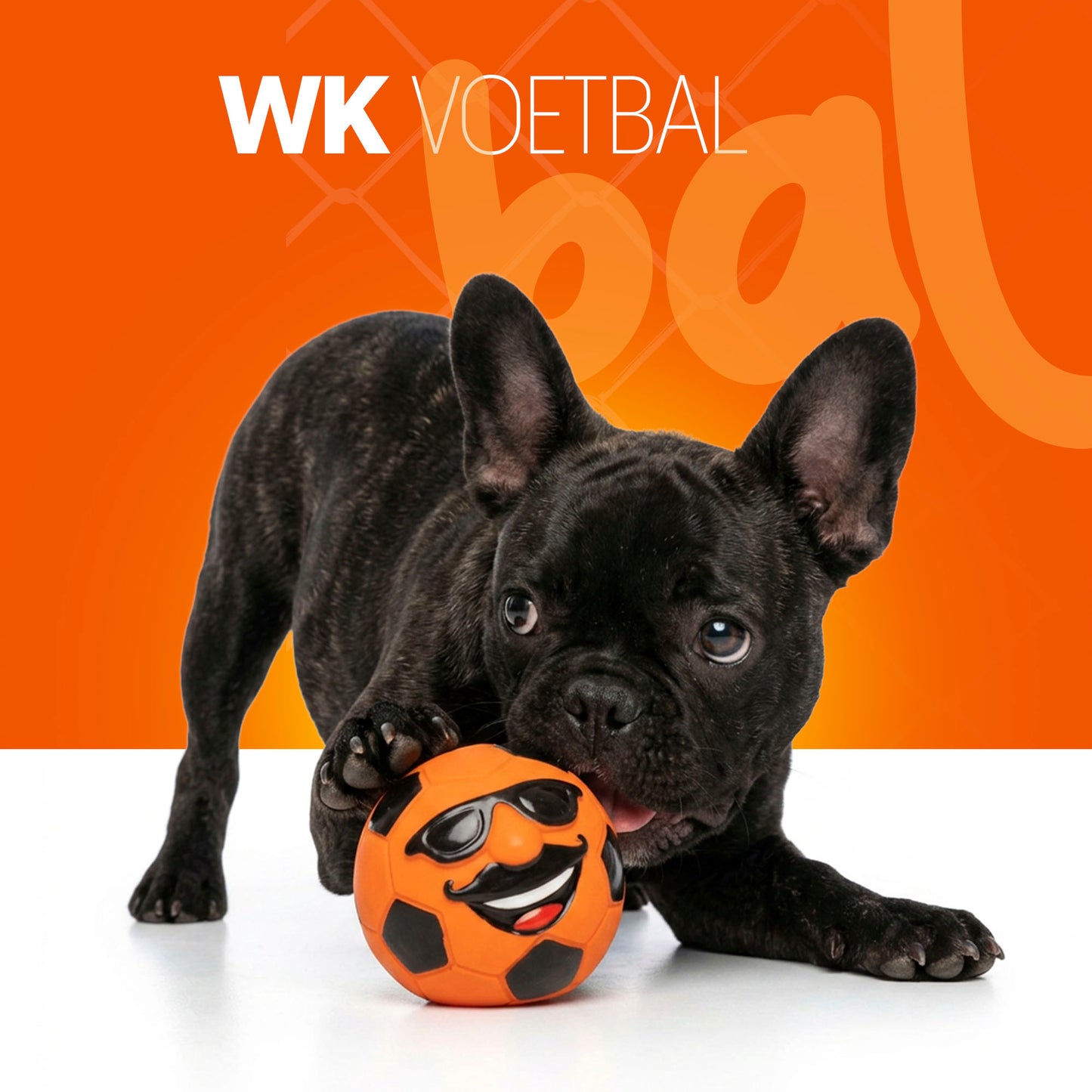 Oranje WK Mr Dutch M