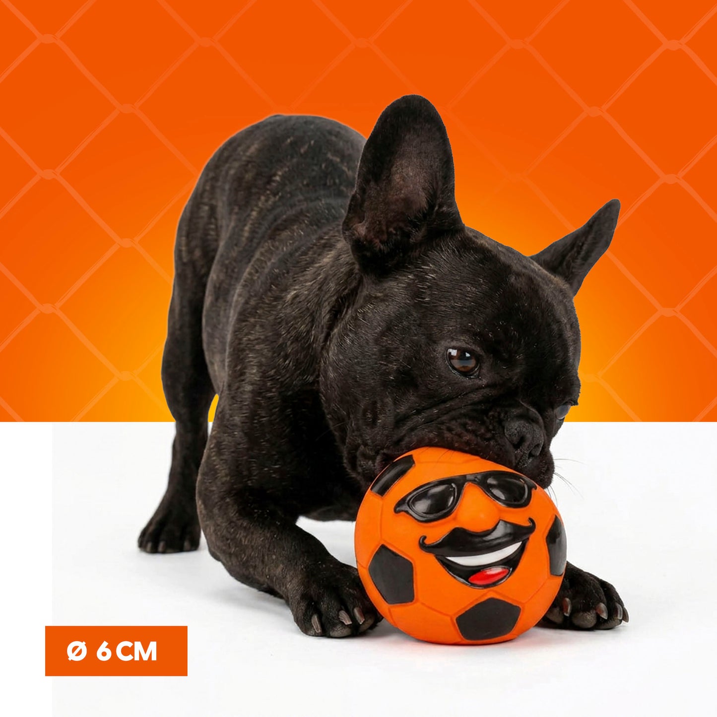 Oranje WK Mr Dutch M