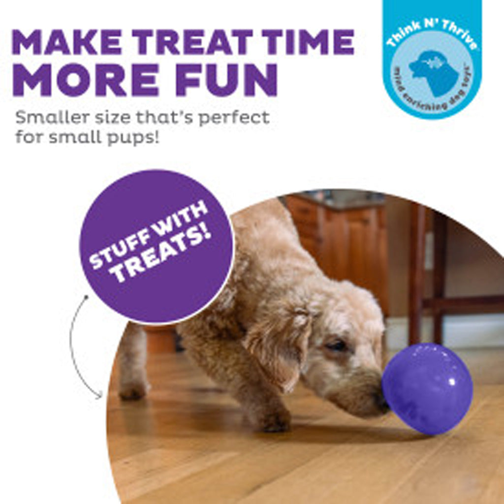 Outward Hound Orbee-Tuff Snoop M Purple