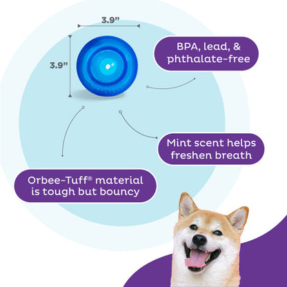 Outward Hound Orbee-Tuff Snoop M Blue