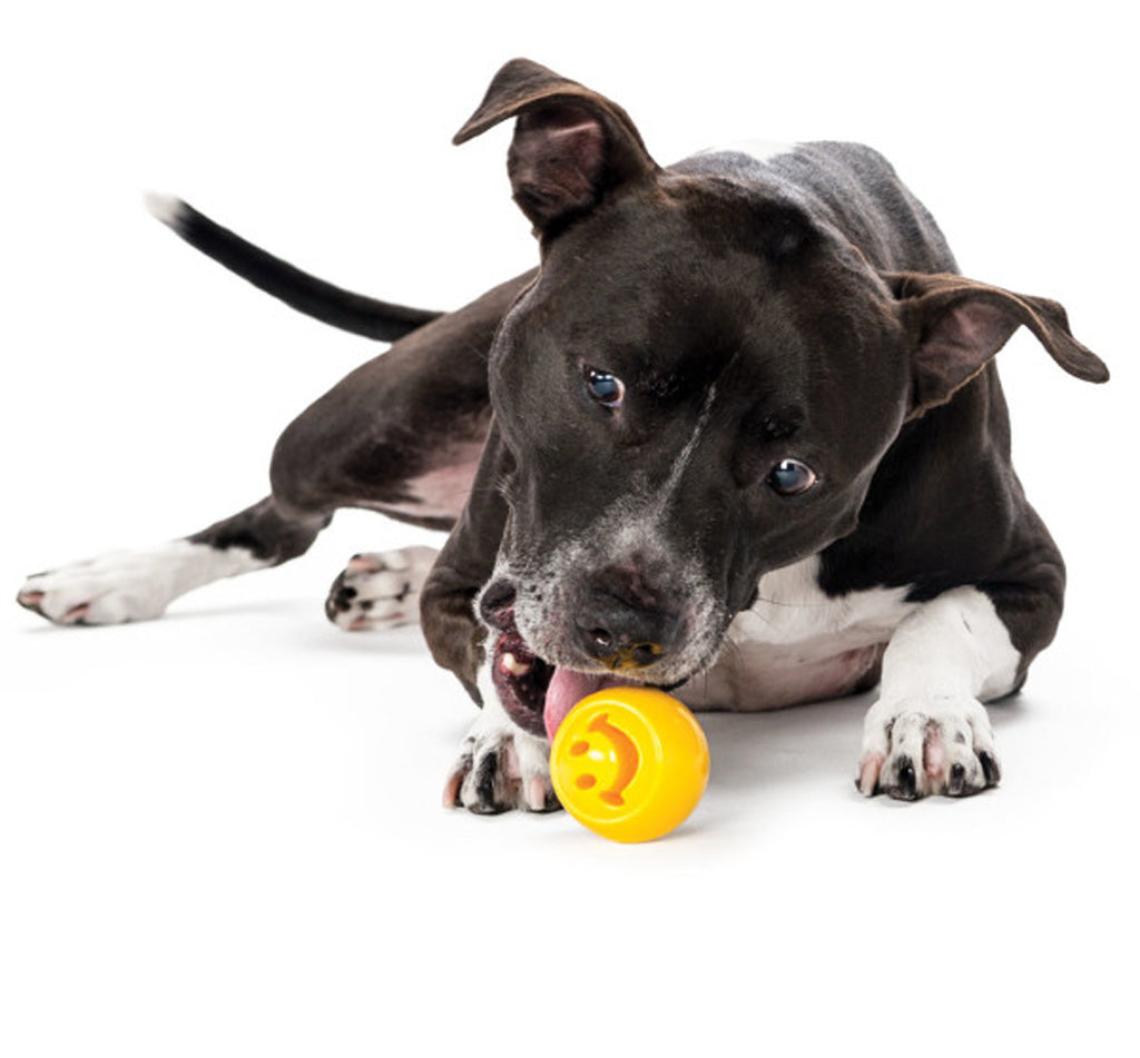 Outward Hound Orbee-Tuff Nooks Yellow