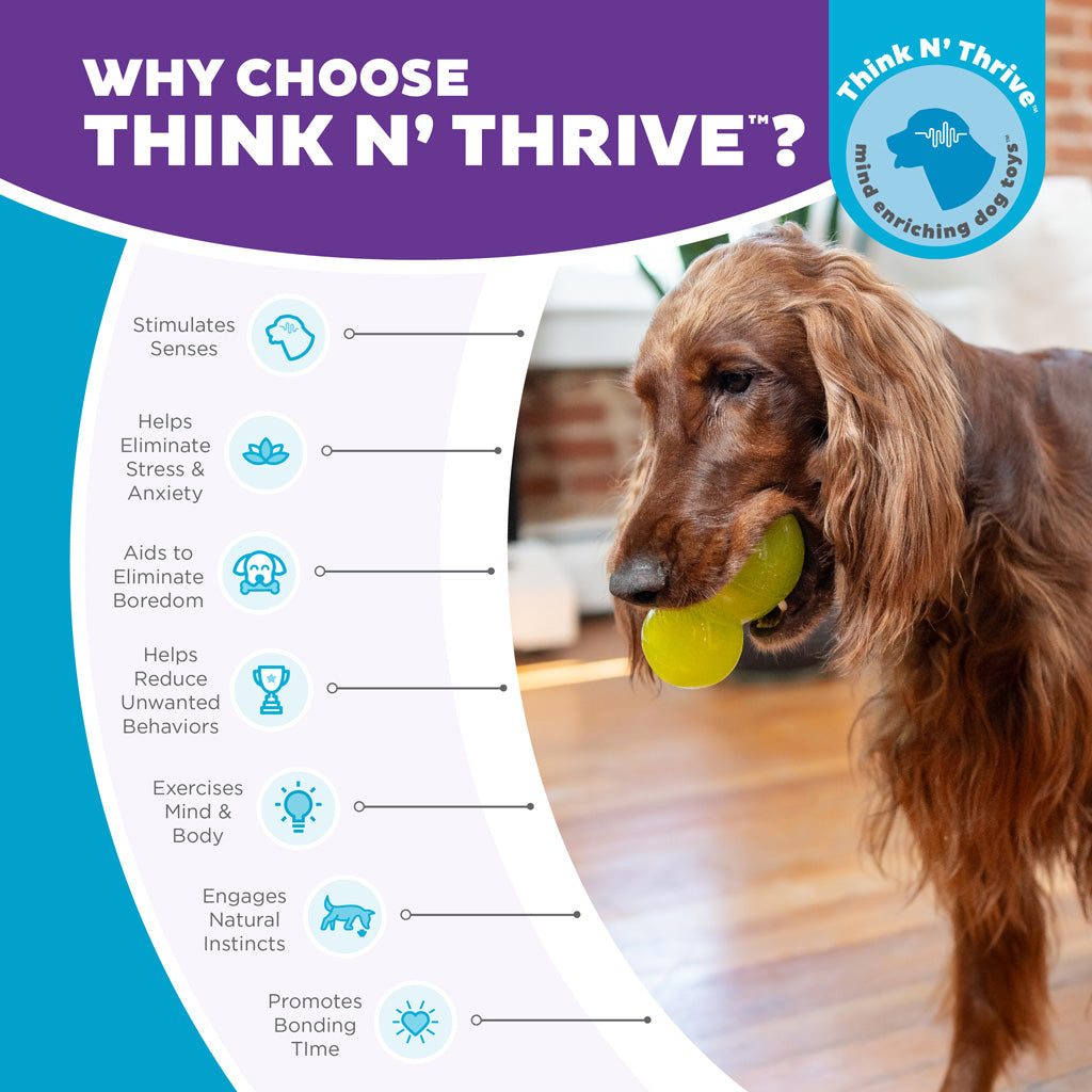 Outward Hound Double-Tuff L Green