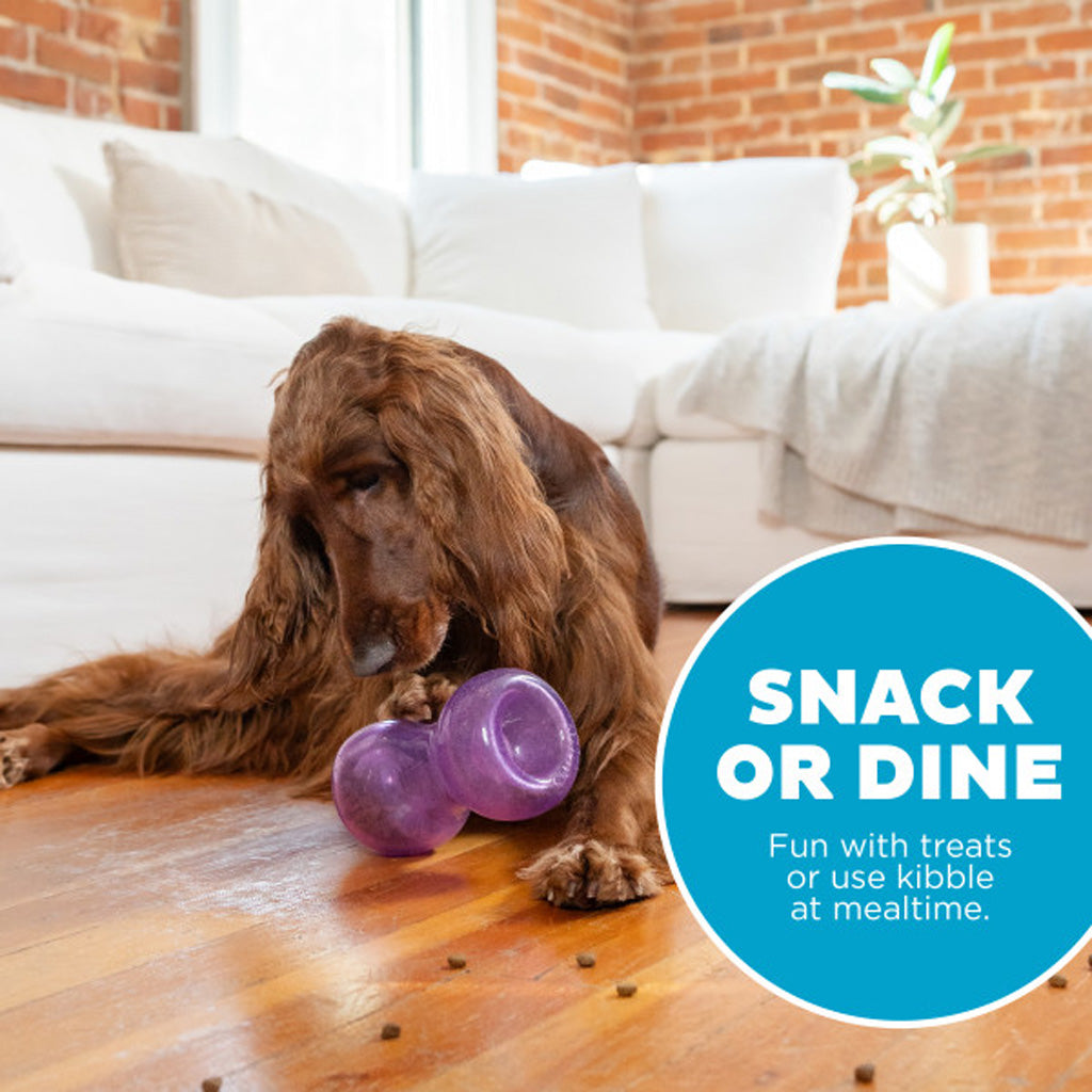 Outward Hound Double Snoop Purple