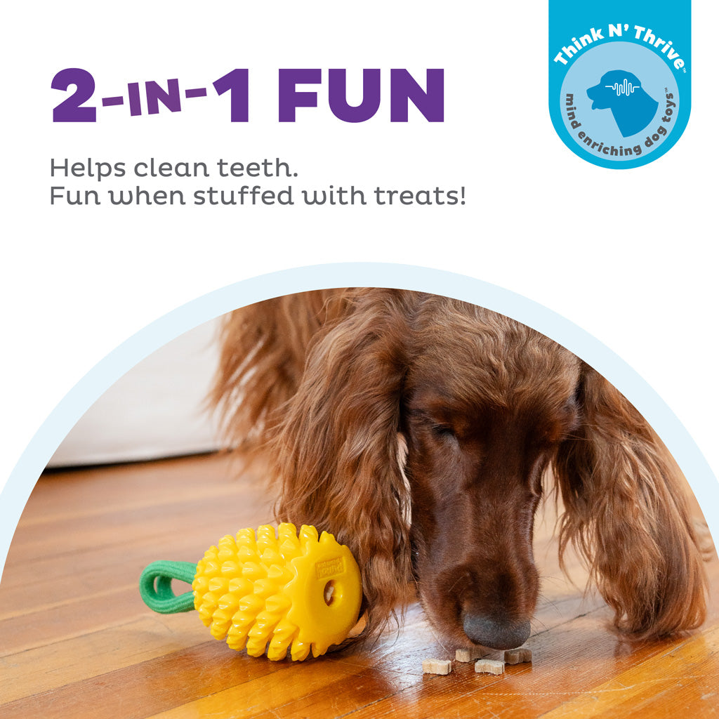 Outward Hound Dental Pineapple