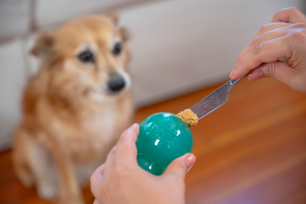 Outward Hound Double-Tuff M Blue