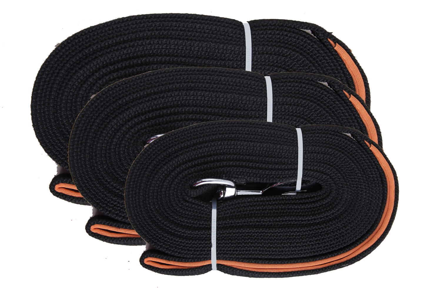 Pawise Long training leash 10 m